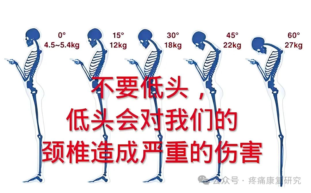 胸椎的病_胸部亚健康表现症状_胸椎亚健康的原因是