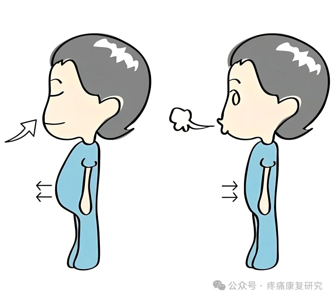 胸椎的病_胸部亚健康表现症状_胸椎亚健康的原因是