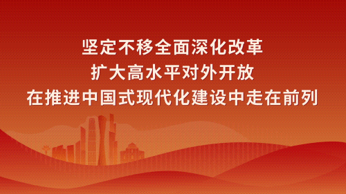 全民冠军足球球员组合_全民冠军足球阵容_全民冠军足球组合不上场