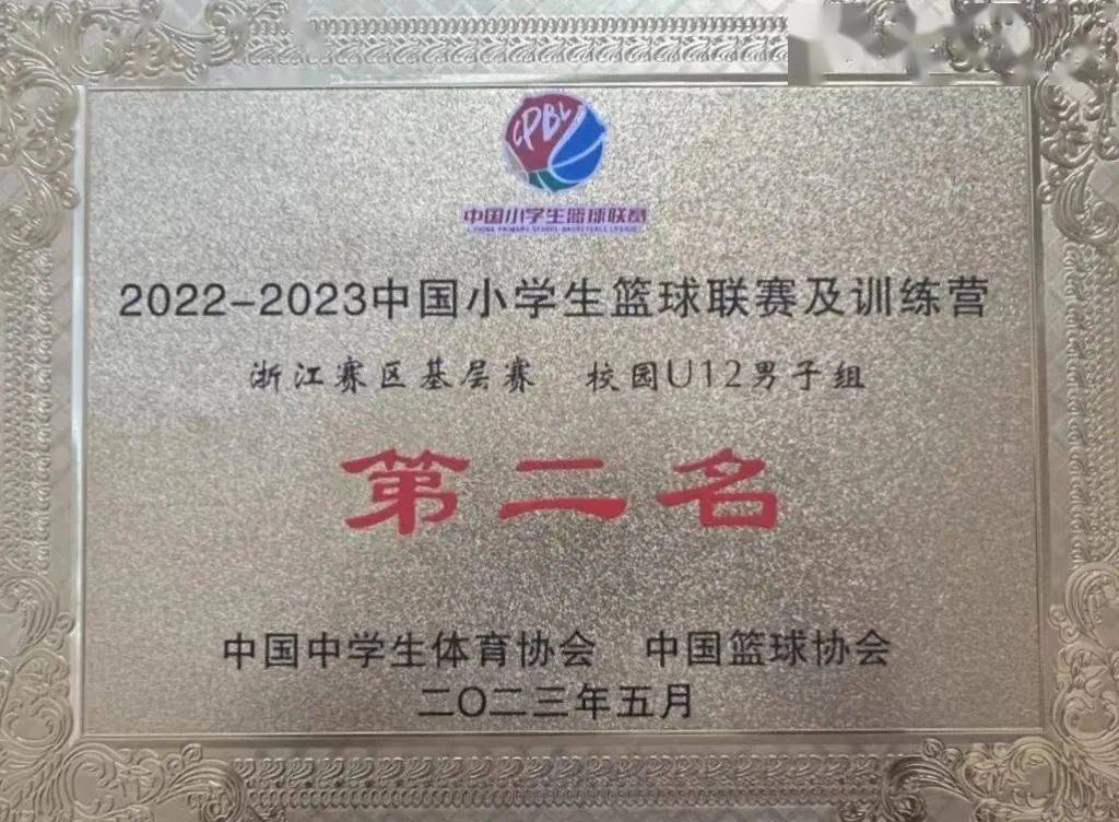 桂平小学篮球赛冠军是谁_全国篮球小学生冠军_桂平市高中学生篮球赛