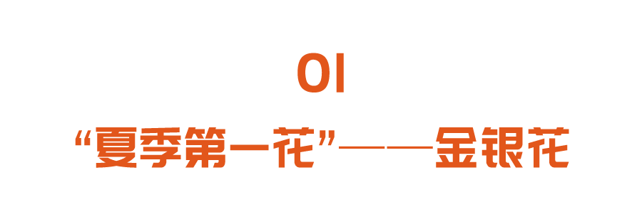 亚健康常见问题_夏季亚健康问题_夏天亚健康