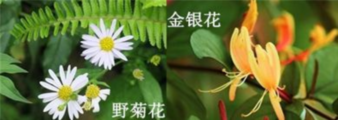 夏季亚健康问题_亚健康常见问题_夏天亚健康