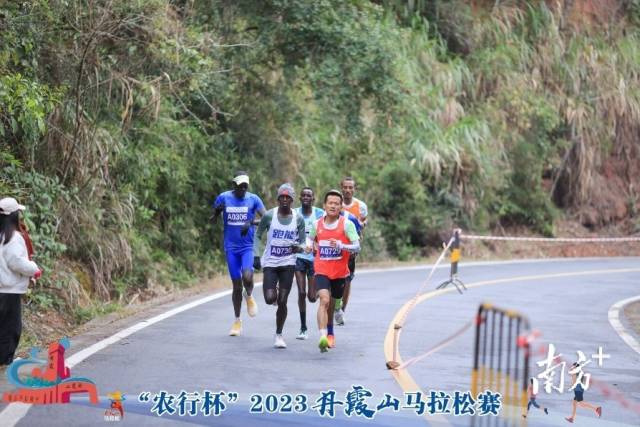 树屏丹霞马拉松_2019年丹霞山马拉松证书_2019丹霞山马拉松爬升