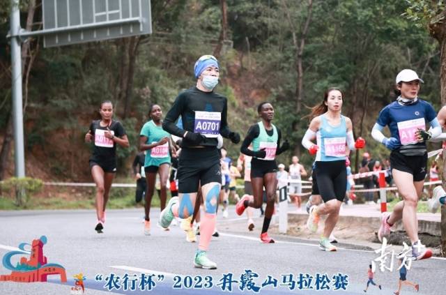 2019丹霞山马拉松爬升_2019年丹霞山马拉松证书_树屏丹霞马拉松
