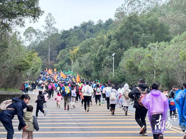 2019年丹霞山马拉松证书_2019丹霞山马拉松爬升_树屏丹霞马拉松