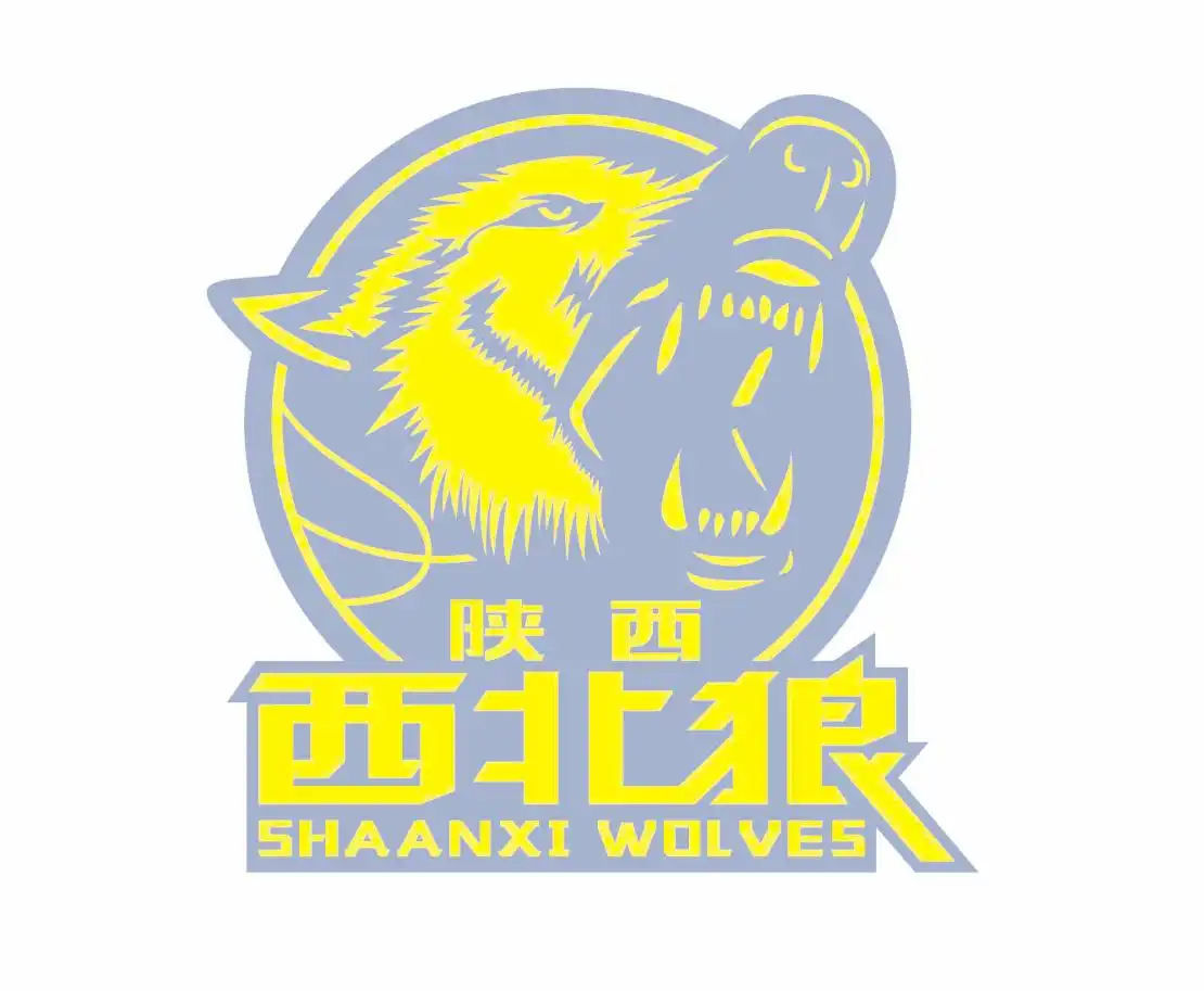 全国男子篮球联赛（NBL）：中国两大男职篮联赛之一的魅力与概况